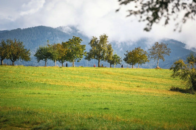 MegaMarsch Freiburg 2024