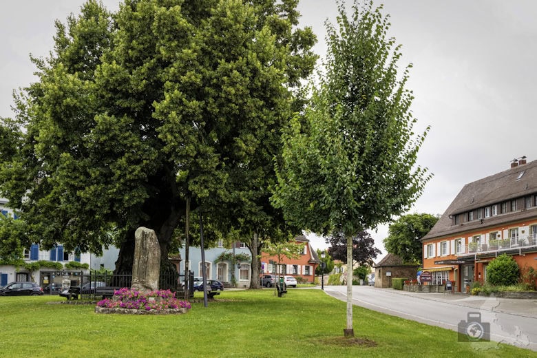 Zentrum, Insel Reichenau