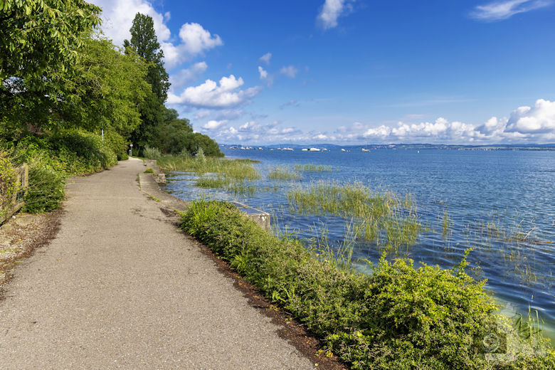 Bodensee Wanderung