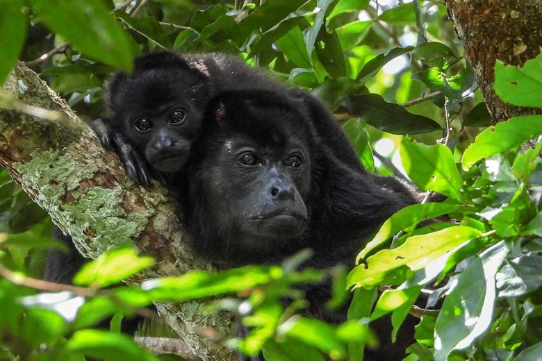 Steckbrief Republik Kongo