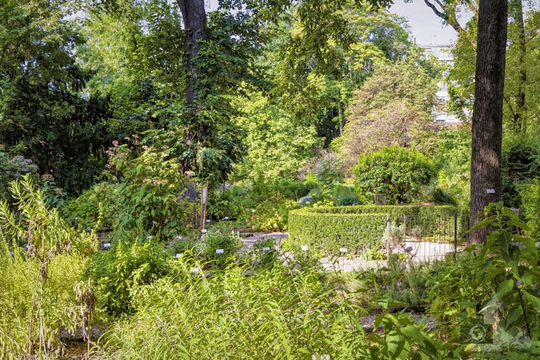 Palazzo di Brera, Mailand