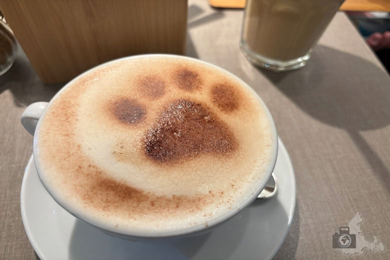 Katzentempel Freiburg