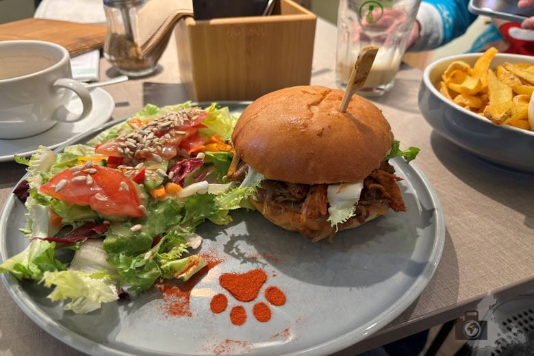 Katzentempel Freiburg