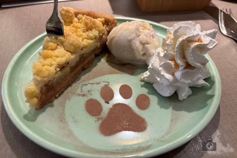 Katzentempel Freiburg