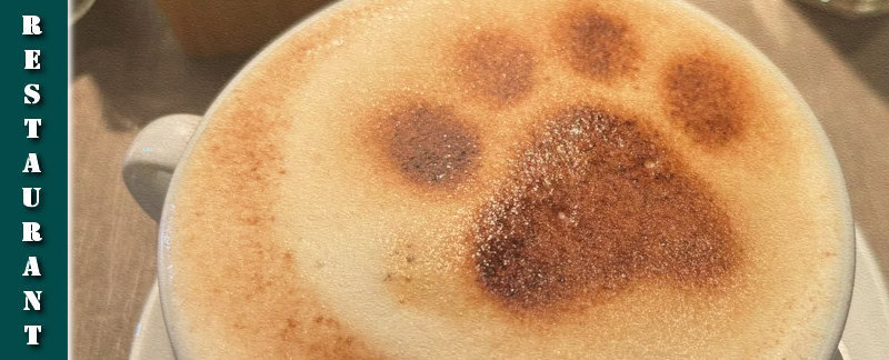 Katzentempel Freiburg